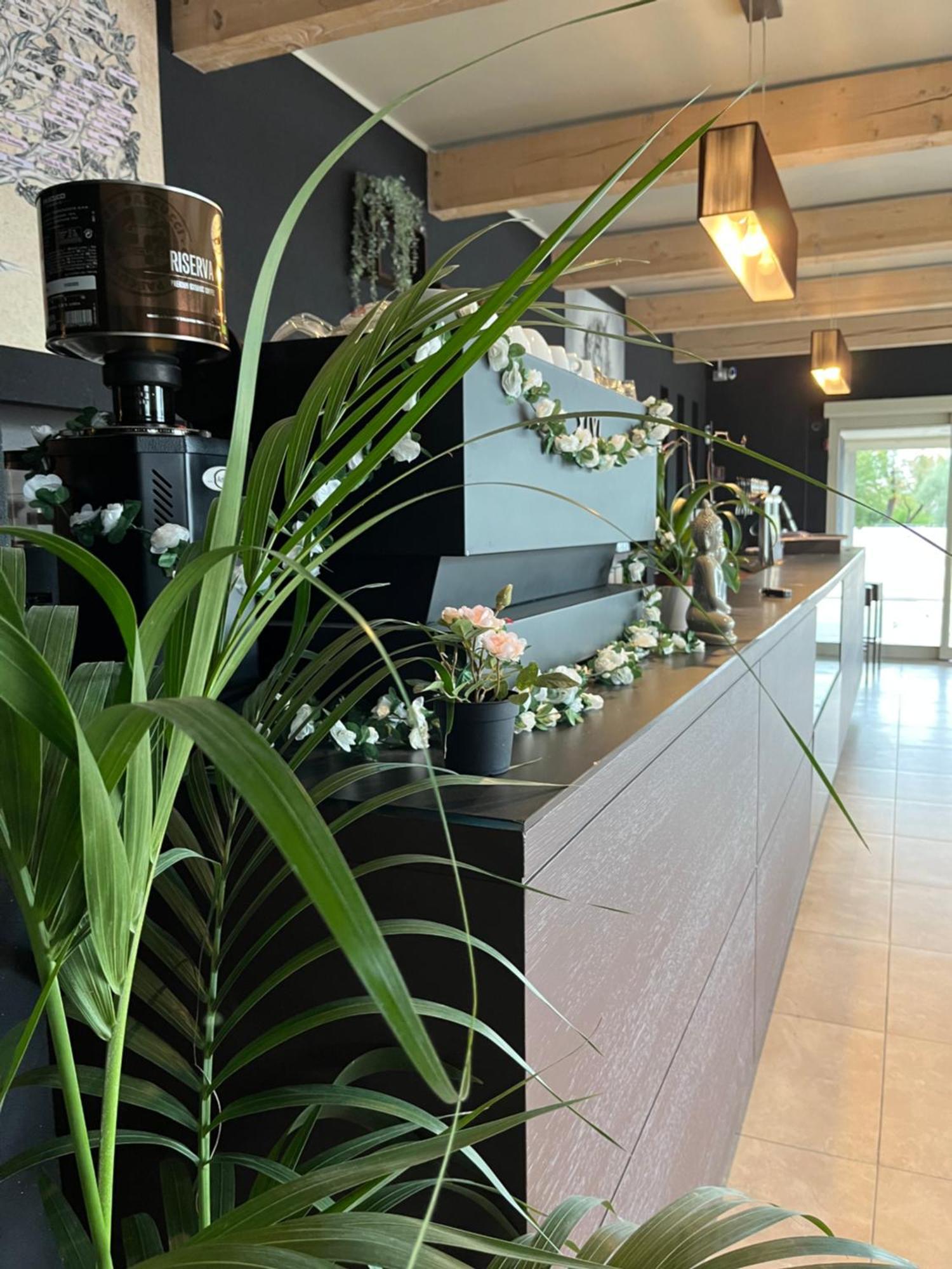 Bed & Breakfast La Rondinella Cerasolo Exterior photo